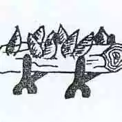Buche.jpg