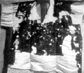 Face-ventrale-2.gif